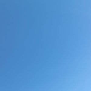 Meet your Posher, Caleb